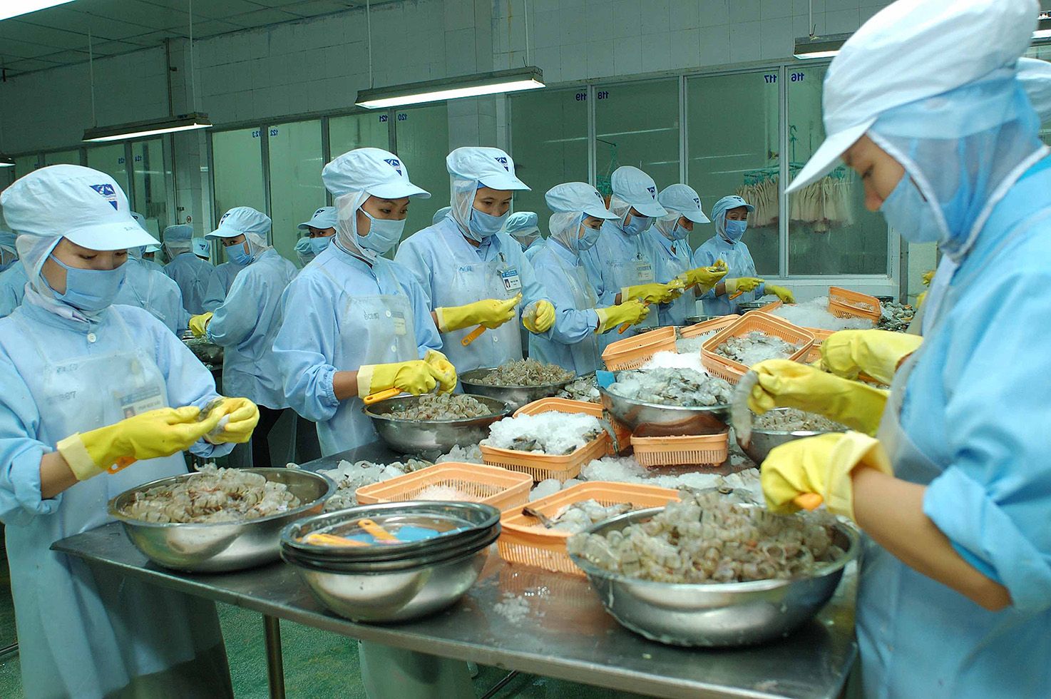 Xuất khẩu lao động Nhật Bản đơn hàng chế biến thực thẩm luôn hot
