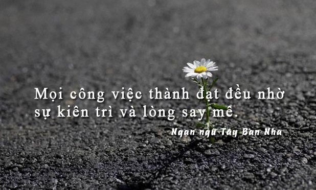 Những nguyên tắc cần nắm vững khi làm việc trong doanh nghiệp Nhật