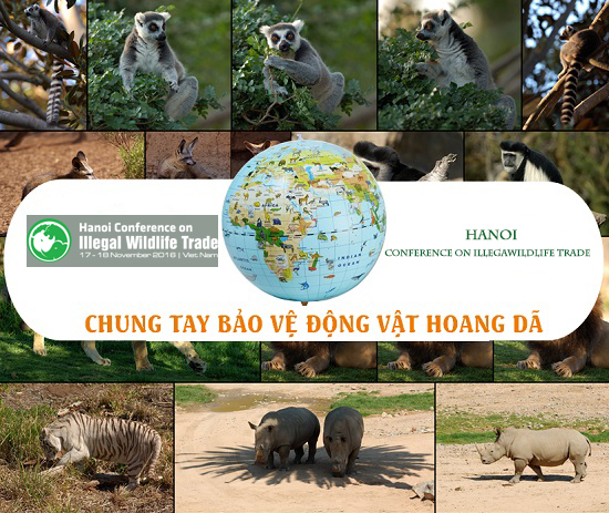 CHUNG TAY HƯỞNG ỨNG TÍCH CỰC BẢO VỆ ĐỘNG VẬT HOANG DÃ