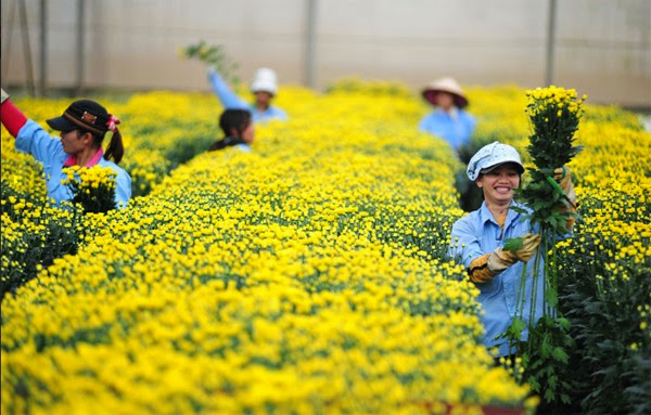 Điều kiện tham gia chương trình tu nghiệp sinh Nhật Bản