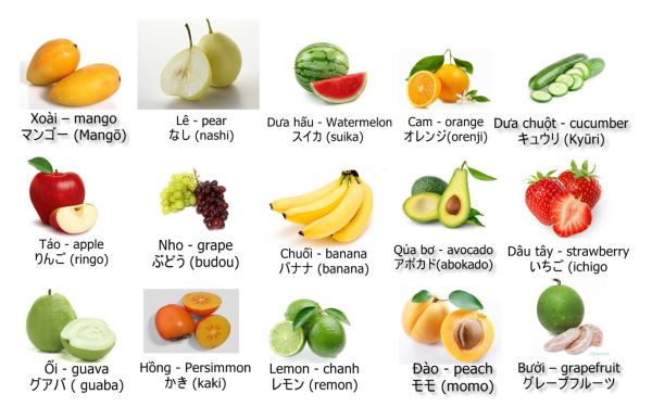 Từ vựng tiếng Nhật chủ đề trái cây
